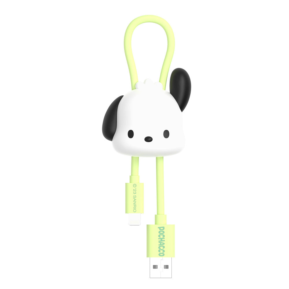 Sanrio kawaii Charging cable iphone/type-c