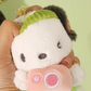 Pochacco Plush key chain