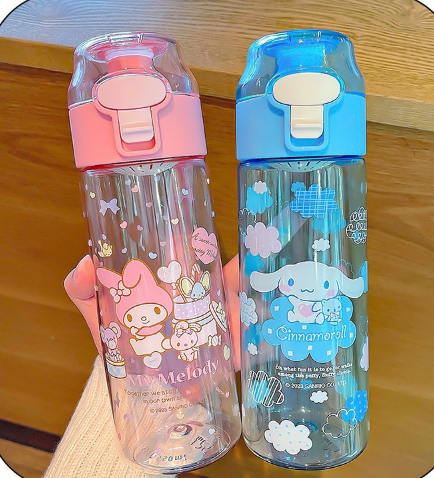 Sanrio Water bottles – Joykawaii