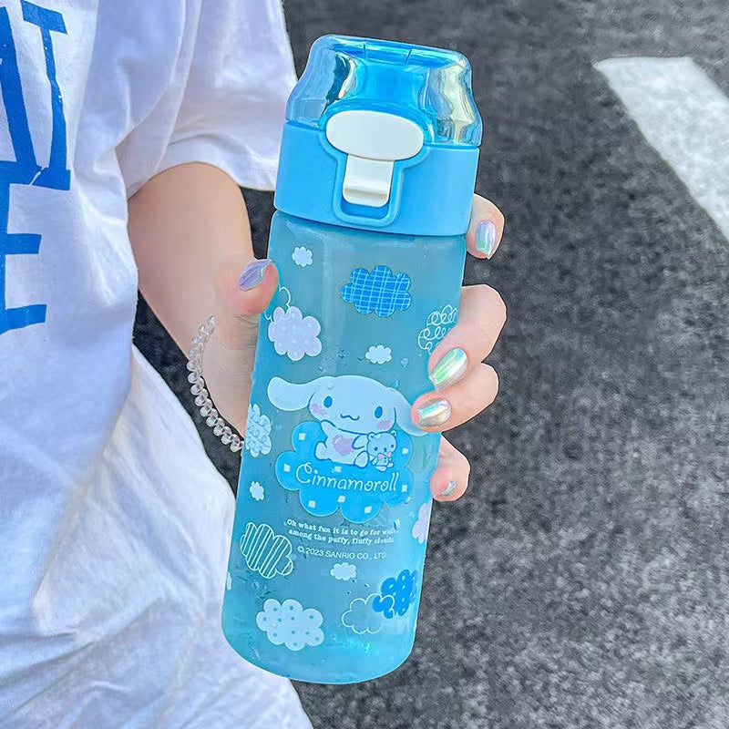 Sanrio Water bottles – Joykawaii