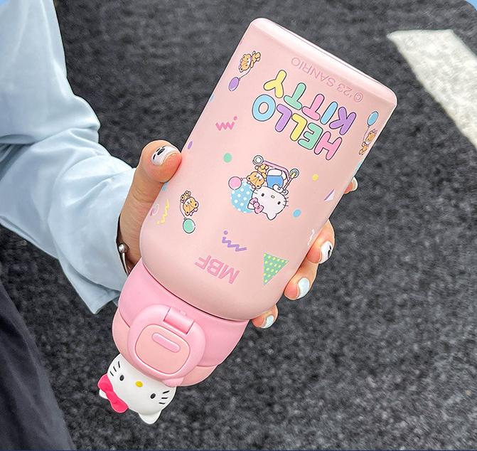 Sanrio Water Bottle insulated stainless steel vacuum bottle with PU Le –  Joykawaii