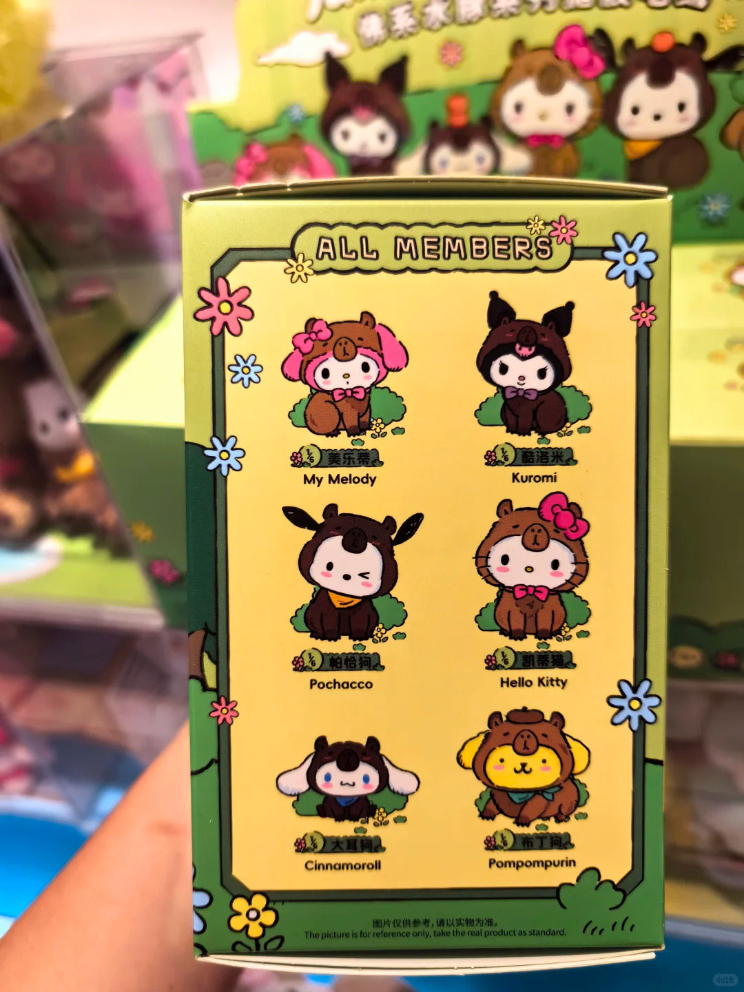 Sanrio Capybara Vinyl Plush Doll Blind Box