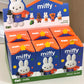 Miffy Warm winter days Plush KeyChain Blind Box